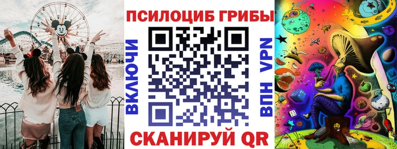 где купить наркоту  мориарти Telegram  Галлюциногенные грибы мицелий  Серов  ссылка на мегу как зайти 